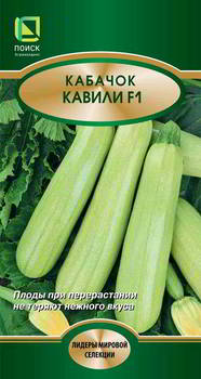 ������ ������ ����� ������� ������ F1, 270504
