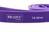 �������� Bradex �����, ������ 3, 2 �� (12 - 36 ��. ), SF 0195