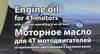 ����� �������� �������������� ��� ������� MOTO VOYAGE SyntS 10W40, ���������, 1 ����., NRM029