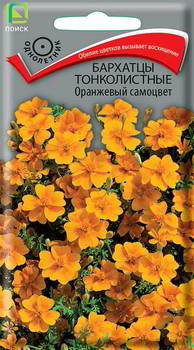 ������ ������ ����� �������� ������������ ��������� ��������, 160564