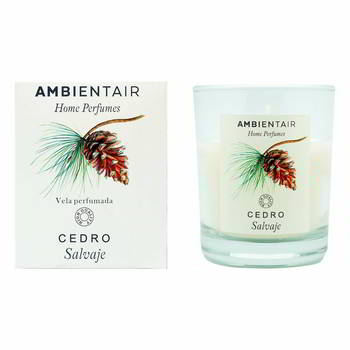 ����� ������������� Ambientair � �������, ����� ����-Cedro., VV001CSAP
