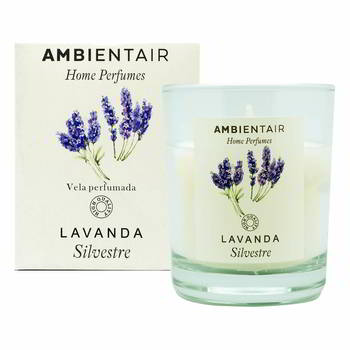 ����� ������������� Ambientair � �������, ������� ������������-Lavanda., VV001LVAP