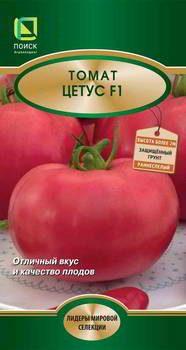 ������ ������ ����� ����� ����� F1 (������������), 812948