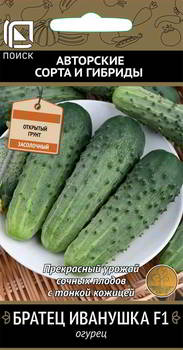 ������ ������ ����� ������ ������ �������� F1, 390804