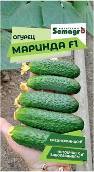 ������ ������ SEMINIS ������ ������� F1, �� 101041
