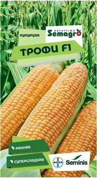 ������ ������ SEMINIS �������� ����� F1, �� 101025