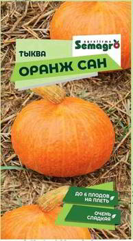 ������ ������ SEMINIS ����� ����� ���, �� 101075