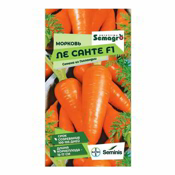 ������ ������ SEMINIS ������� �� ����� F1, �� 101103