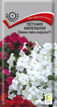 ������ ������ ����� ������� ��������� ������ �����, 420049