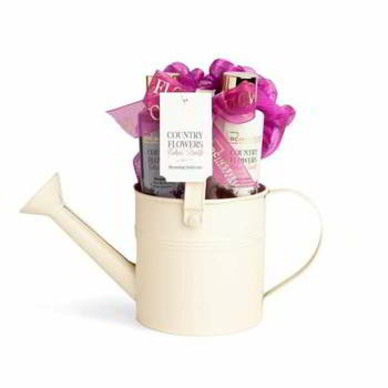����� ���������� AQUARIUS COSMETIC �����, COUNTRY FLOWERS, 3 ��������., 99014